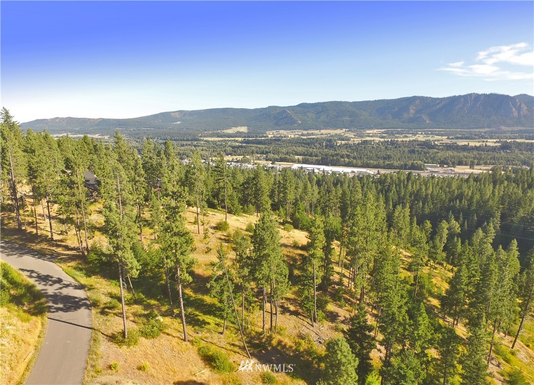10 Meadow Ridge Drive Cle Elum, WA 98922 - Photo 1 of 25 Gallery Image 1