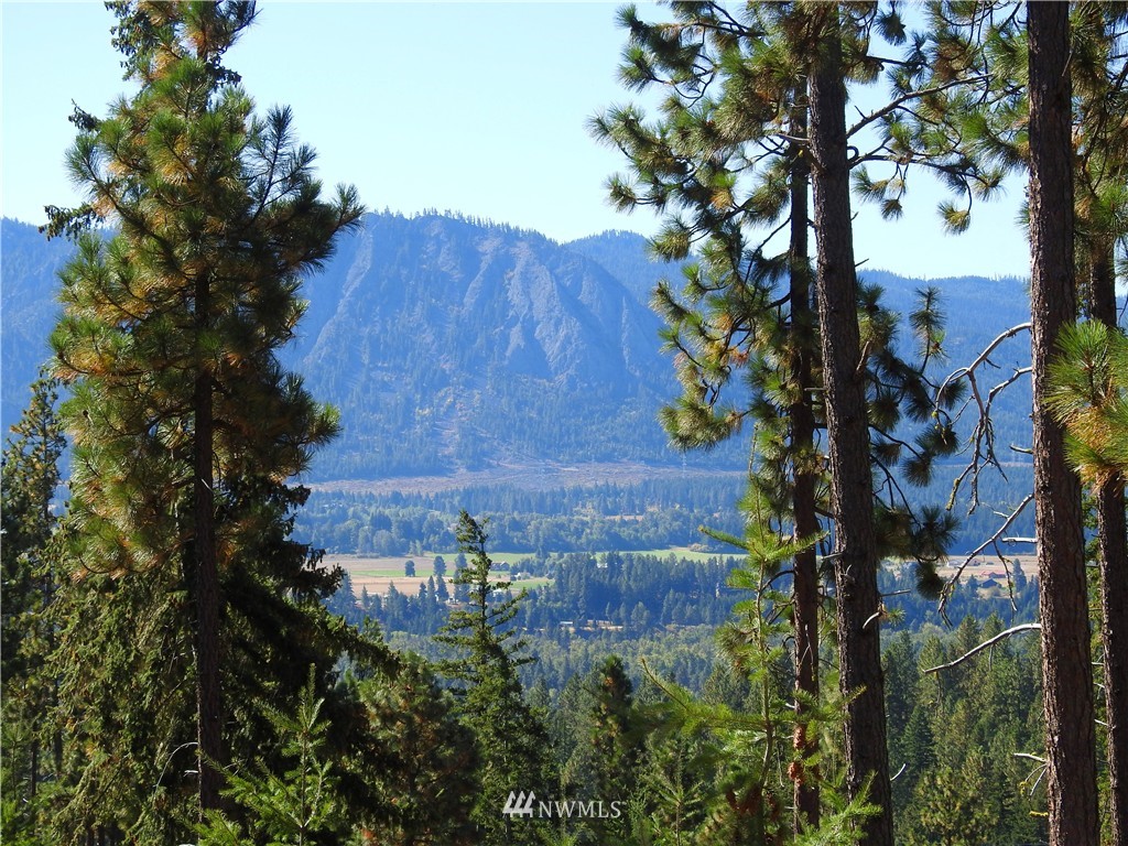 10 Meadow Ridge Drive Cle Elum, WA 98922 - Photo 2 of 25 Gallery Image 2