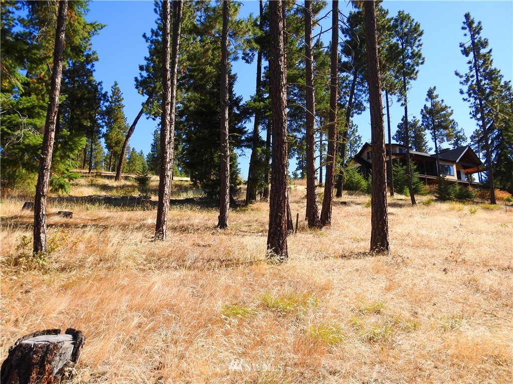 10 Meadow Ridge Drive Cle Elum, WA 98922 - Photo 13 of 25 Gallery Image 13