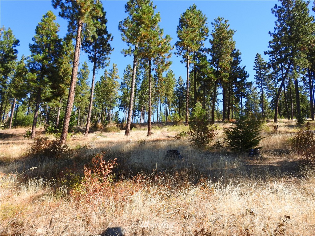 10 Meadow Ridge Drive Cle Elum, WA 98922 - Photo 15 of 25 Gallery Image 15