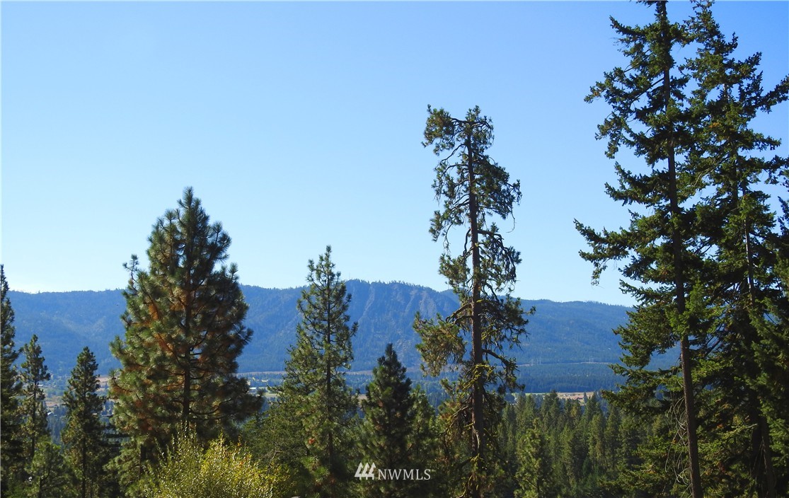10 Meadow Ridge Drive Cle Elum, WA 98922 - Photo 17 of 25 Gallery Image 17