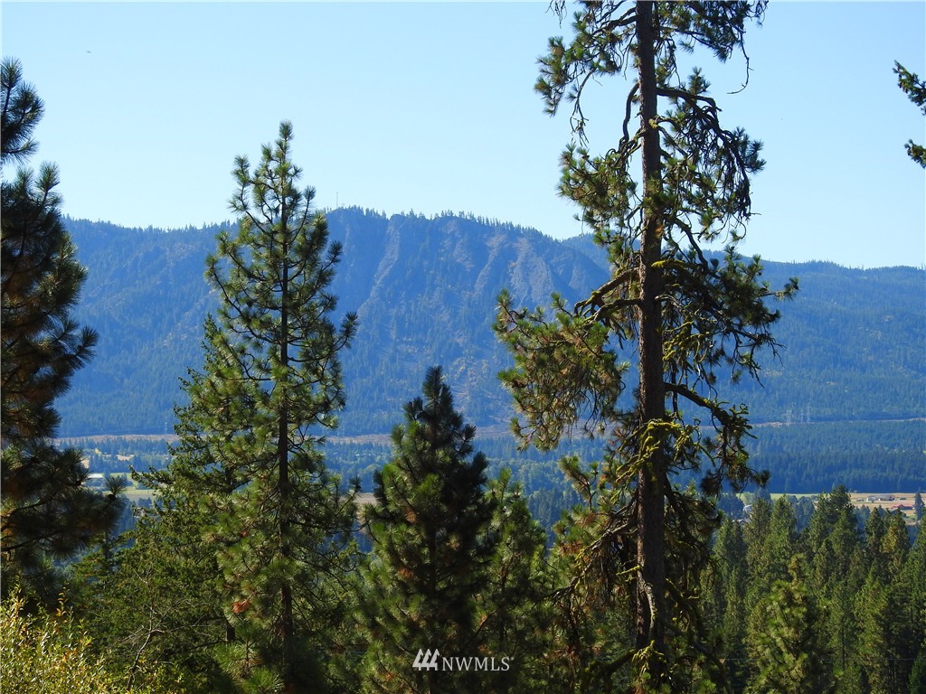 10 Meadow Ridge Drive Cle Elum, WA 98922 - Photo 18 of 25 Gallery Image 18