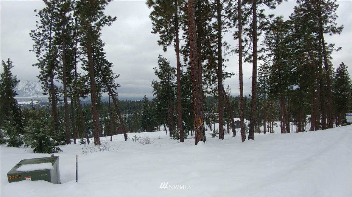 10 Meadow Ridge Drive Cle Elum, WA 98922 - Photo 19 of 25 Gallery Image 19
