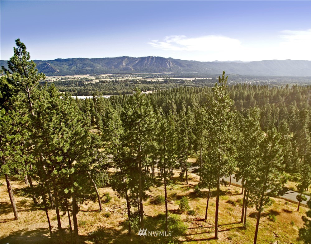 10 Meadow Ridge Drive Cle Elum, WA 98922 - Photo 3 of 25 Gallery Image 3