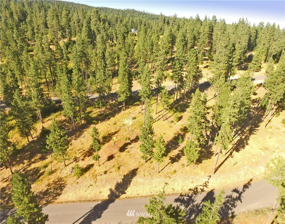 10 Meadow Ridge Drive Cle Elum, WA 98922 - Photo 24 of 25 Gallery Image 24