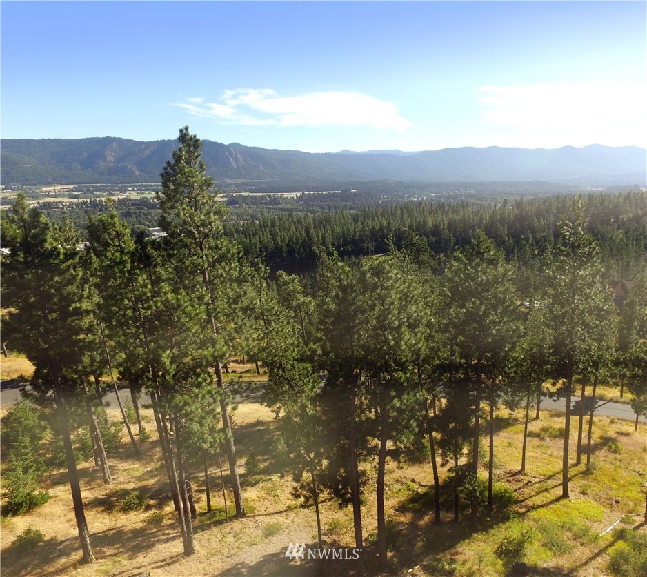 10 Meadow Ridge Drive Cle Elum, WA 98922 - Photo 25 of 25 Gallery Image 25