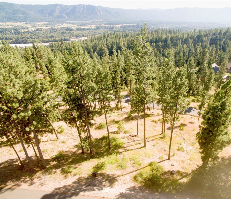 10 Meadow Ridge Drive Cle Elum, WA 98922 - Photo 4 of 25 Gallery Image 4
