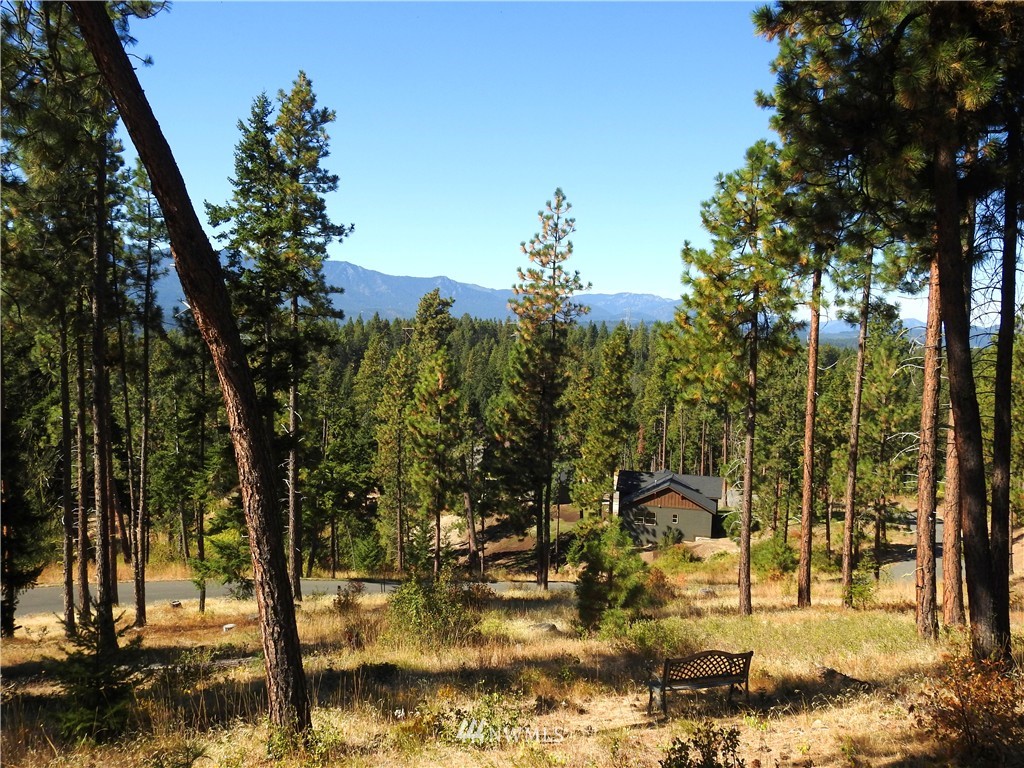 10 Meadow Ridge Drive Cle Elum, WA 98922 - Photo 7 of 25 Gallery Image 7