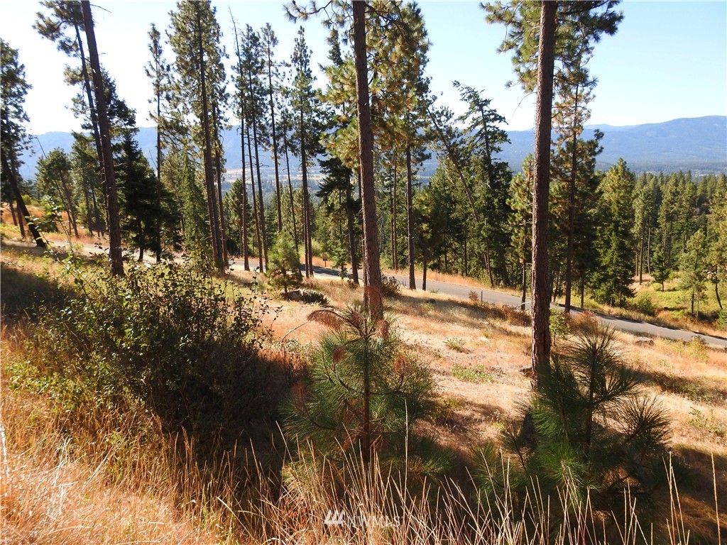 10 Meadow Ridge Drive Cle Elum, WA 98922 - Photo 8 of 25 Gallery Image 8