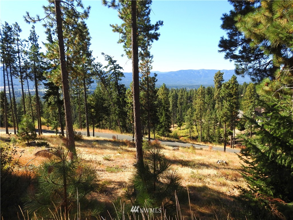 10 Meadow Ridge Drive Cle Elum, WA 98922 - Photo 9 of 25 Gallery Image 9