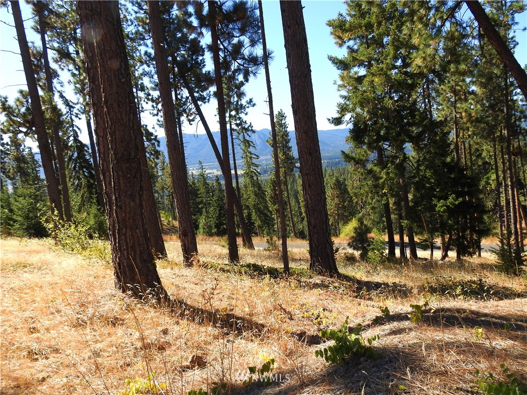 10 Meadow Ridge Drive Cle Elum, WA 98922 - Photo 10 of 25 Gallery Image 10