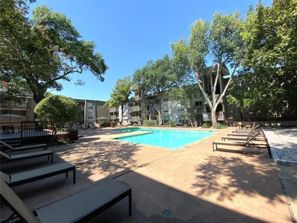 a view of a yard with plants and trees