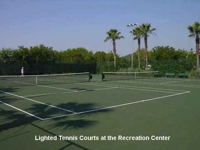 $3,500 | 2050 Palm Forest Lane, Houston, TX 77077