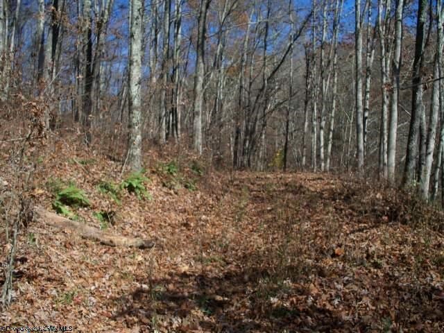 9 Joseph Chapel Road Belington, WV 26250 - Photo 11 of 18 Gallery Image 11