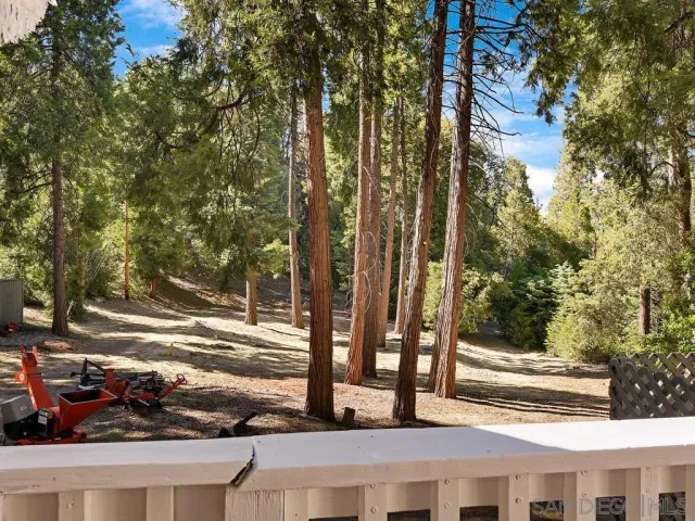 a view of a yard with street