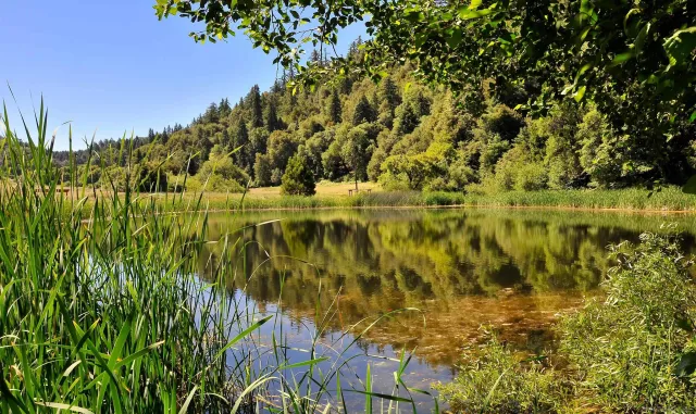 a view of a lake view