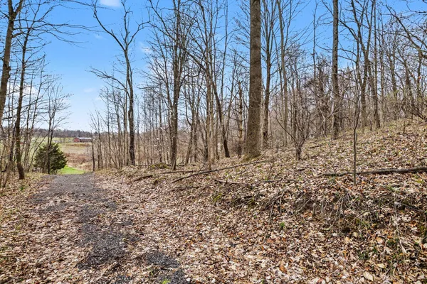 $80,000 | 19579 Dutch Settlement Street, Cassopolis, MI 49031
