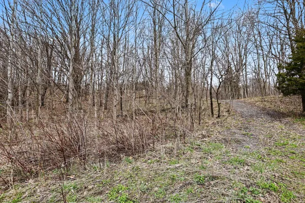 $80,000 | 19579 Dutch Settlement Street, Cassopolis, MI 49031