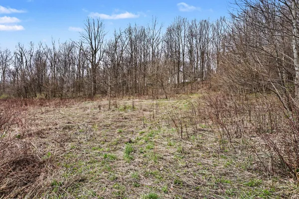 $80,000 | 19579 Dutch Settlement Street, Cassopolis, MI 49031