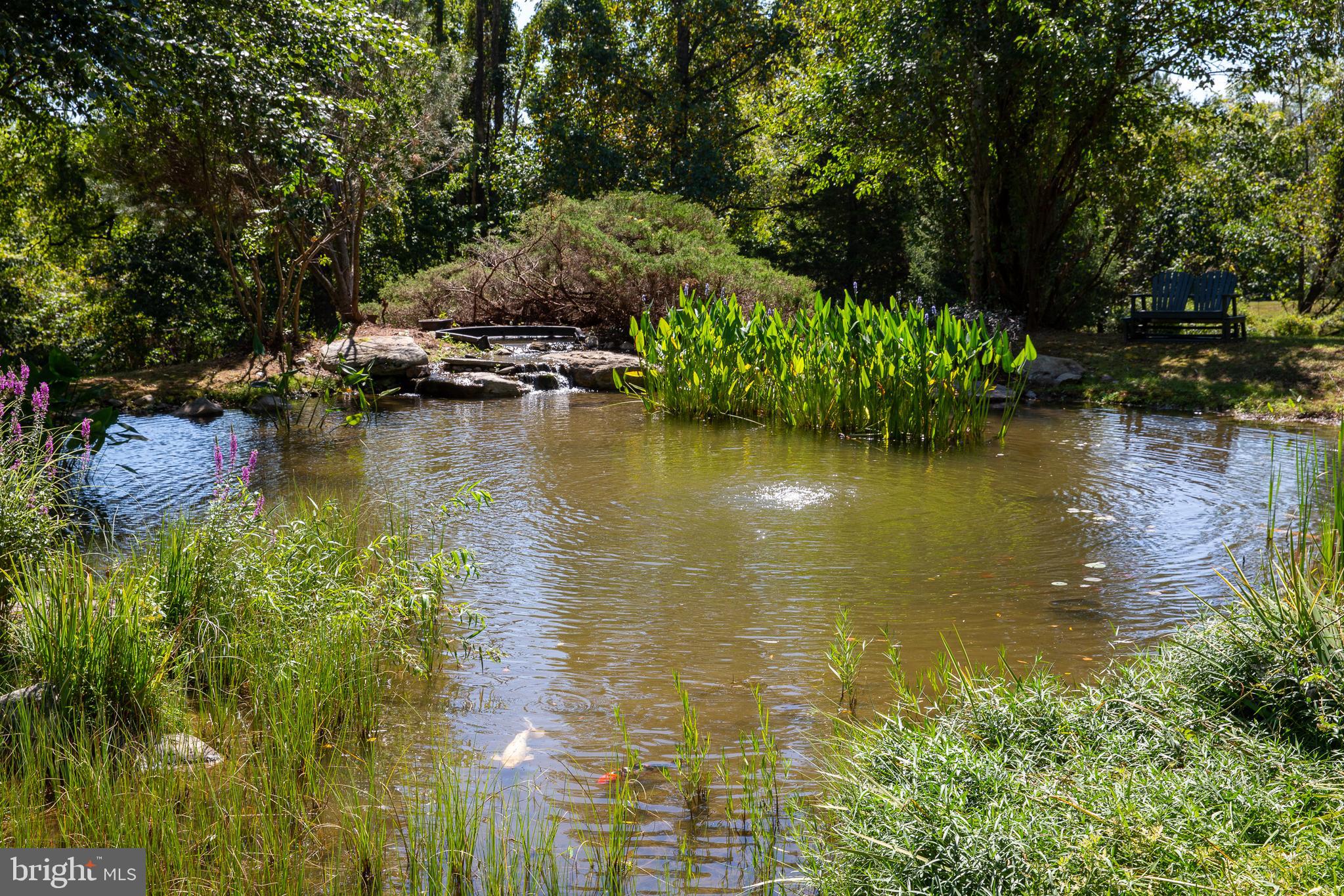 1226 Eagle Road New Hope, PA 18938 - Photo 5 of 40 Spring-fed Koi Pond