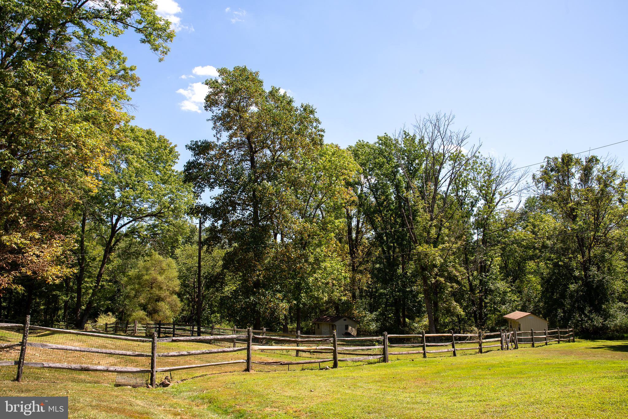 1226 Eagle Road New Hope, PA 18938 - Photo 7 of 40 2 large fenced areas perfect for sheep or alpacas