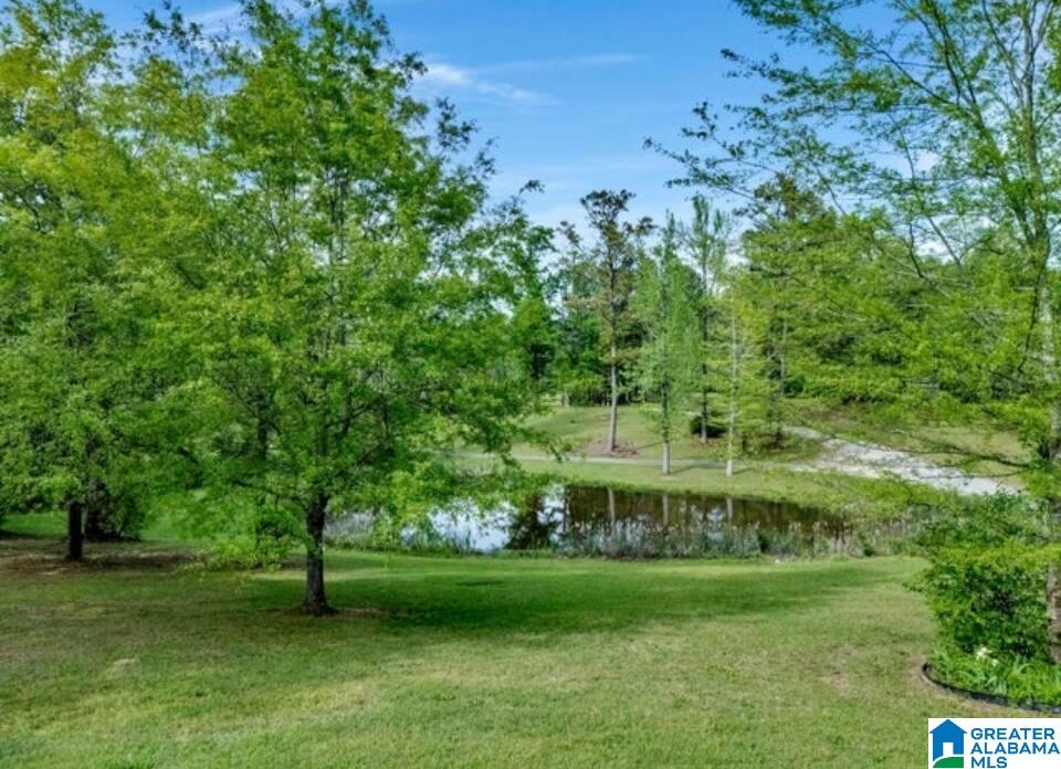 5355 Hollis Goodwin Road Dora, AL 35062 - Photo 35 of 35