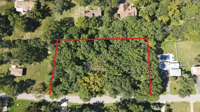 a picture of flowers