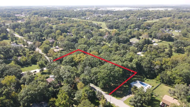 a close up of a tree