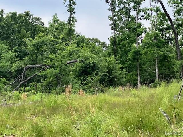 234 Madison Street Fredericktown, MO 63645 - Photo 1 of 3