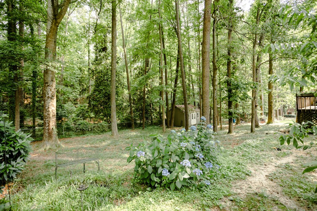 1964 Bolin Road North Augusta, SC 29841 - Photo 62 of 63