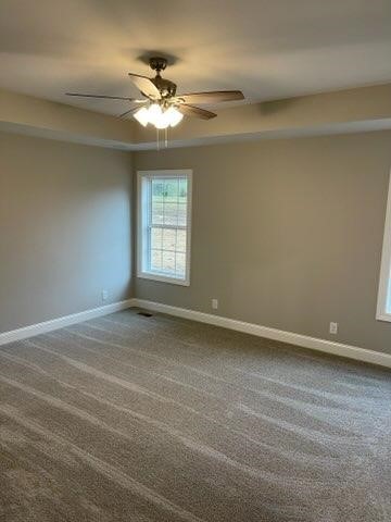 353 Puncheon Camp Road Bell Buckle, TN 37020 - Photo 17 of 21 Gallery Image 17