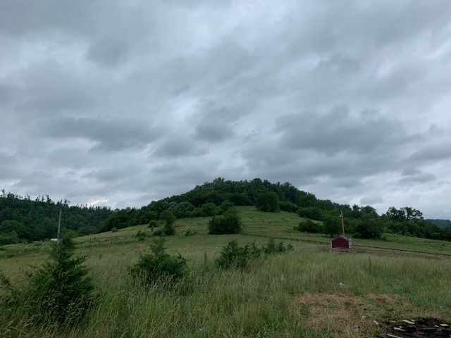 353 Puncheon Camp Road Bell Buckle, TN 37020 - Photo 3 of 21 Gallery Image 3