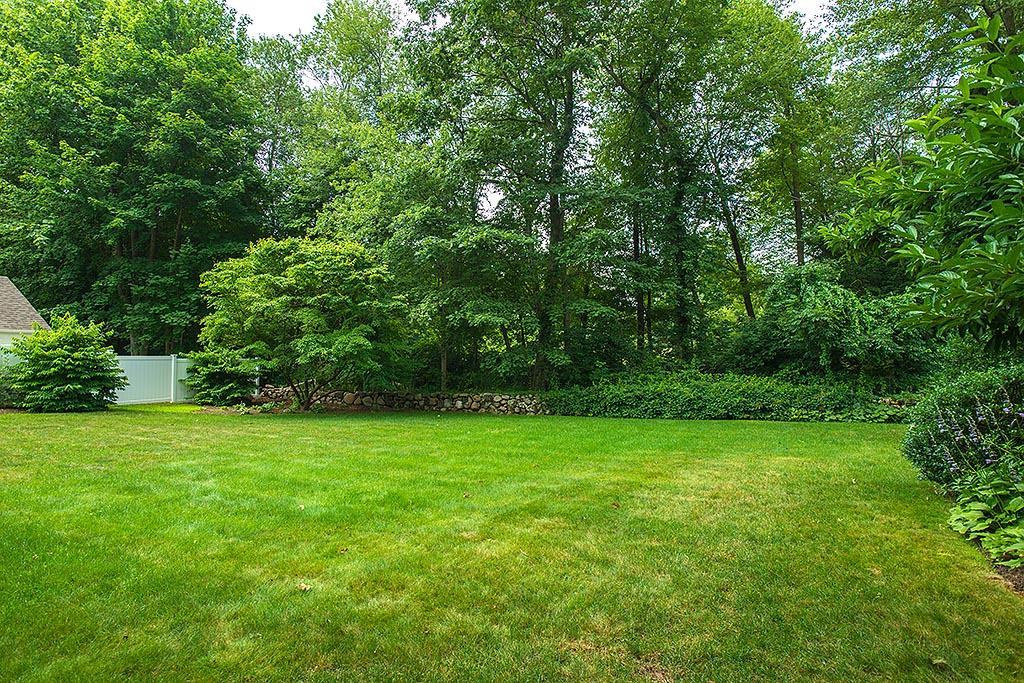 33 Birch Road Darien, CT 06820 - Photo 28 of 33 a view of a green yard