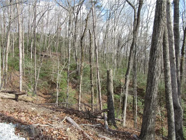 $29,000 | 0 Belvoir Drive, Pickens, SC 29671