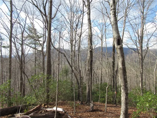$29,000 | 0 Belvoir Drive, Pickens, SC 29671