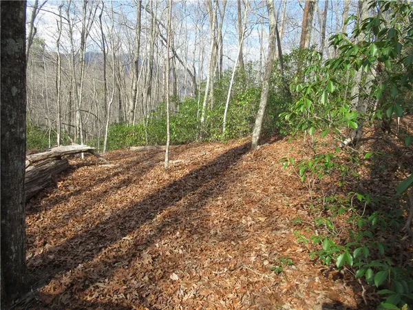 $29,000 | 0 Belvoir Drive, Pickens, SC 29671