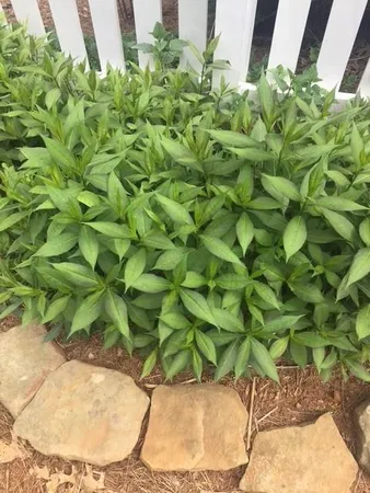 $539,000 | 431 Providence Club Drive, Monroe, GA 30656