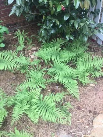 $539,000 | 431 Providence Club Drive, Monroe, GA 30656