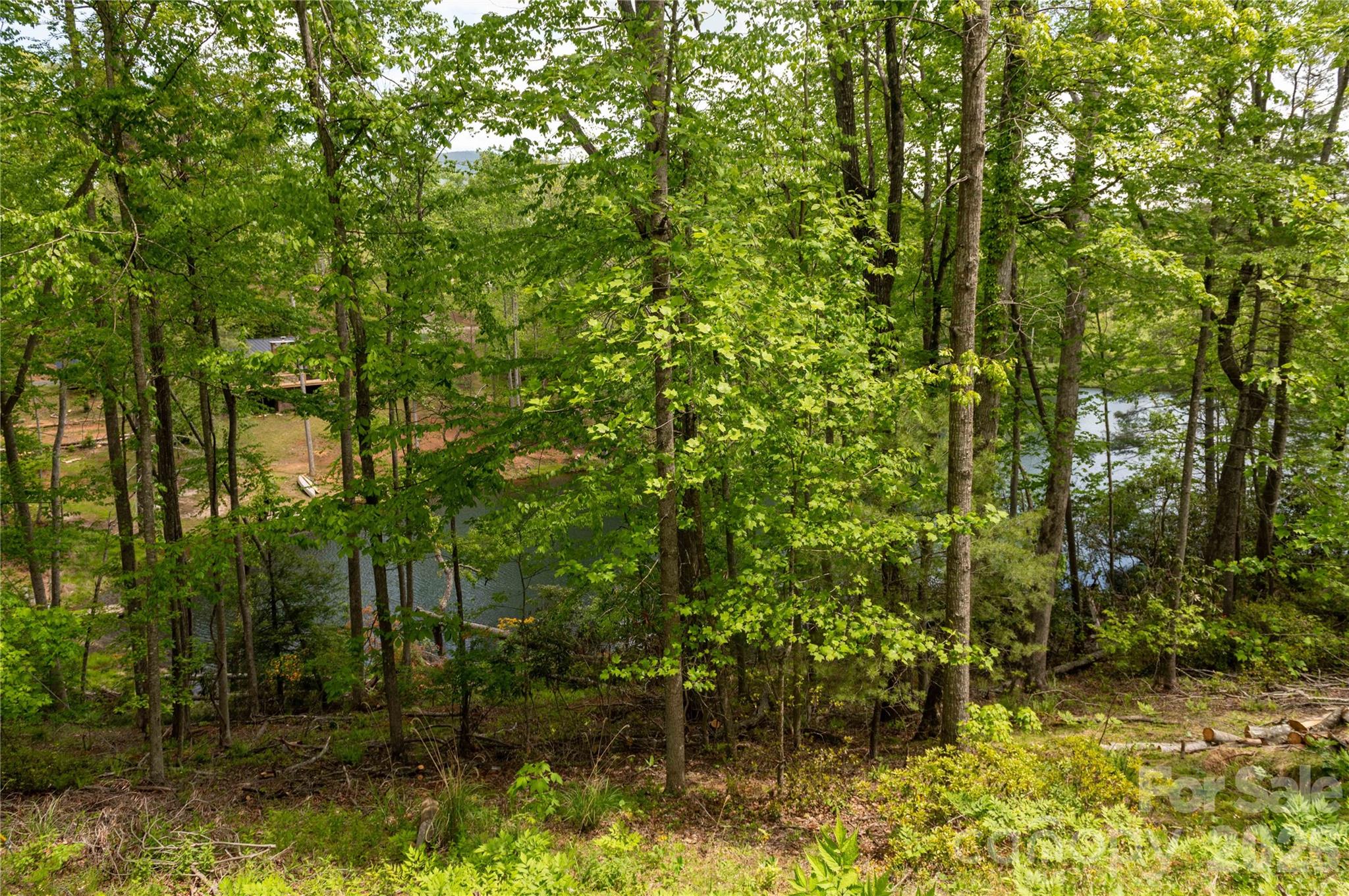 0 Deer Park Lake Road Spruce Pine, NC 28777 - Photo 8 of 24 a view of a garden