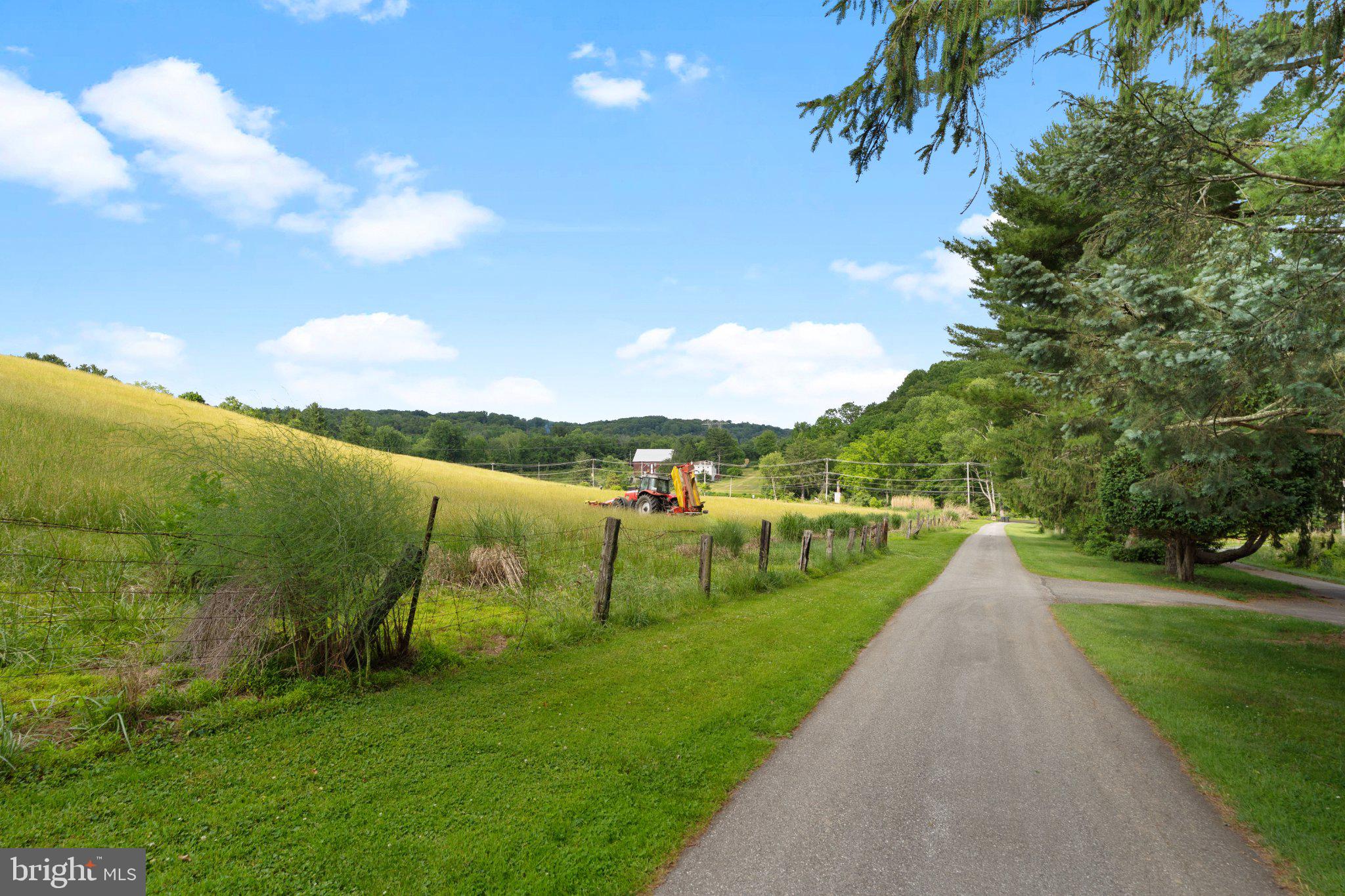 342 Ring Road Chadds Ford, PA 19317 - Photo 66 of 95 Scenic country road through lush fields.