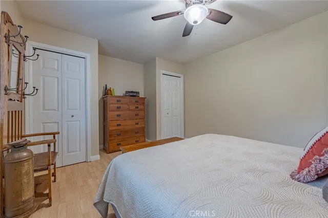 a view of a backyard with plants and a garden