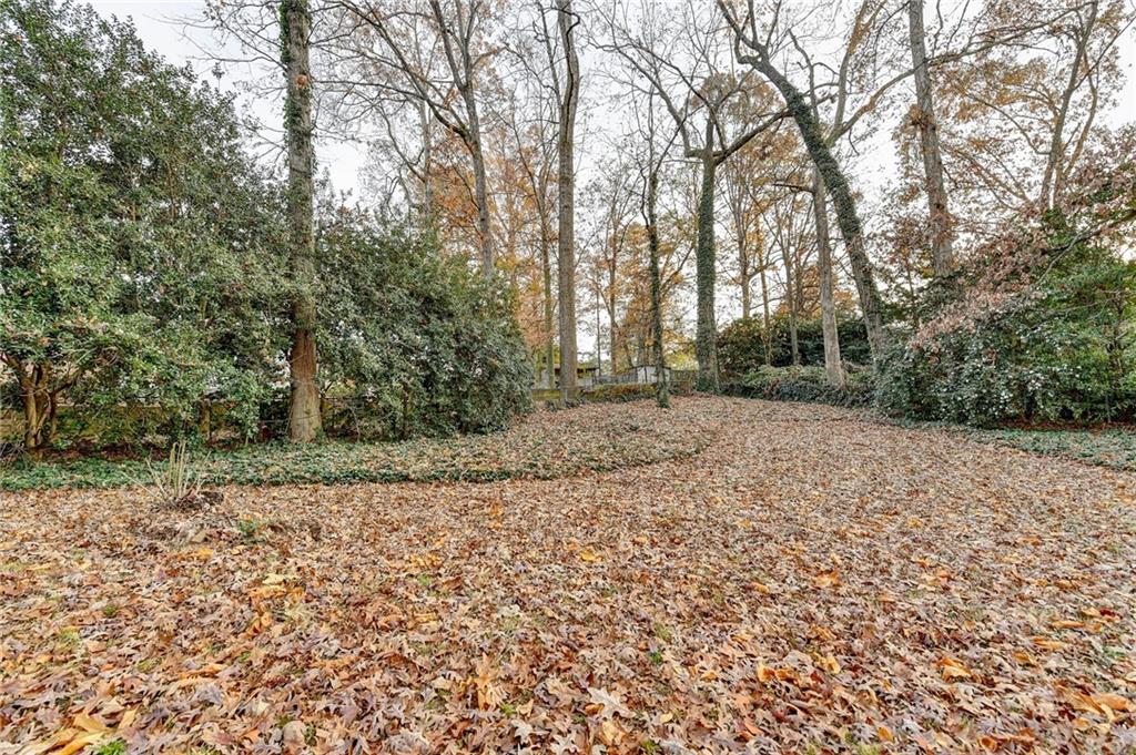 2137 Plantation Lane Chamblee, GA 30341 - Photo 54 of 54 a backyard of a house with lots of green space