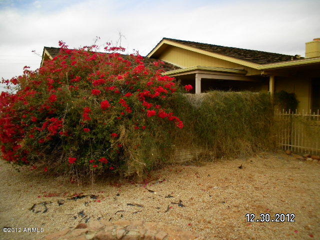 415 South Prospectors Road Apache Junction, AZ 85119 - Photo 11 of 13 SANY0136