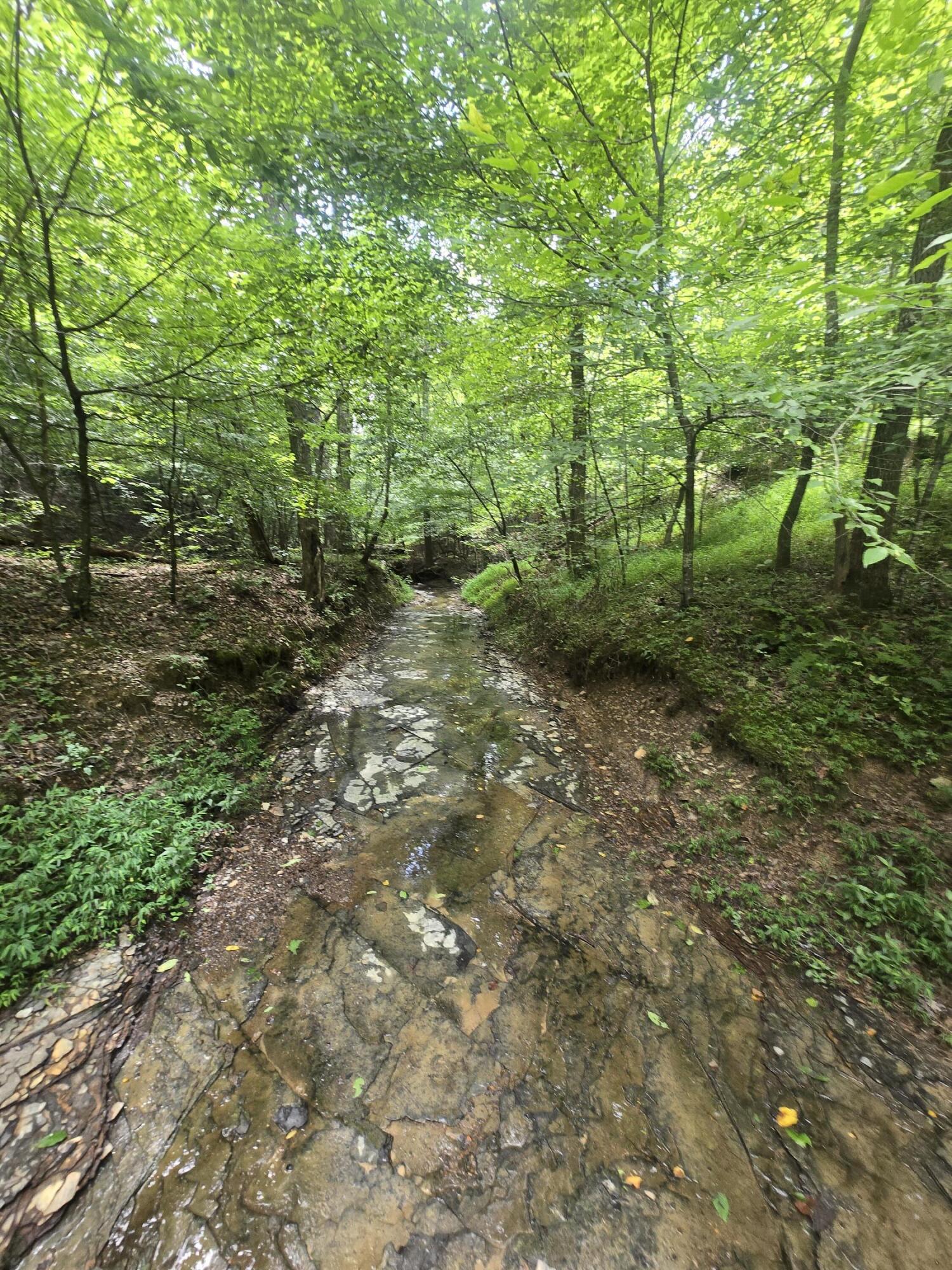 9999 Millstone Road Clay City, KY 40312 - Photo 14 of 17 1000019432