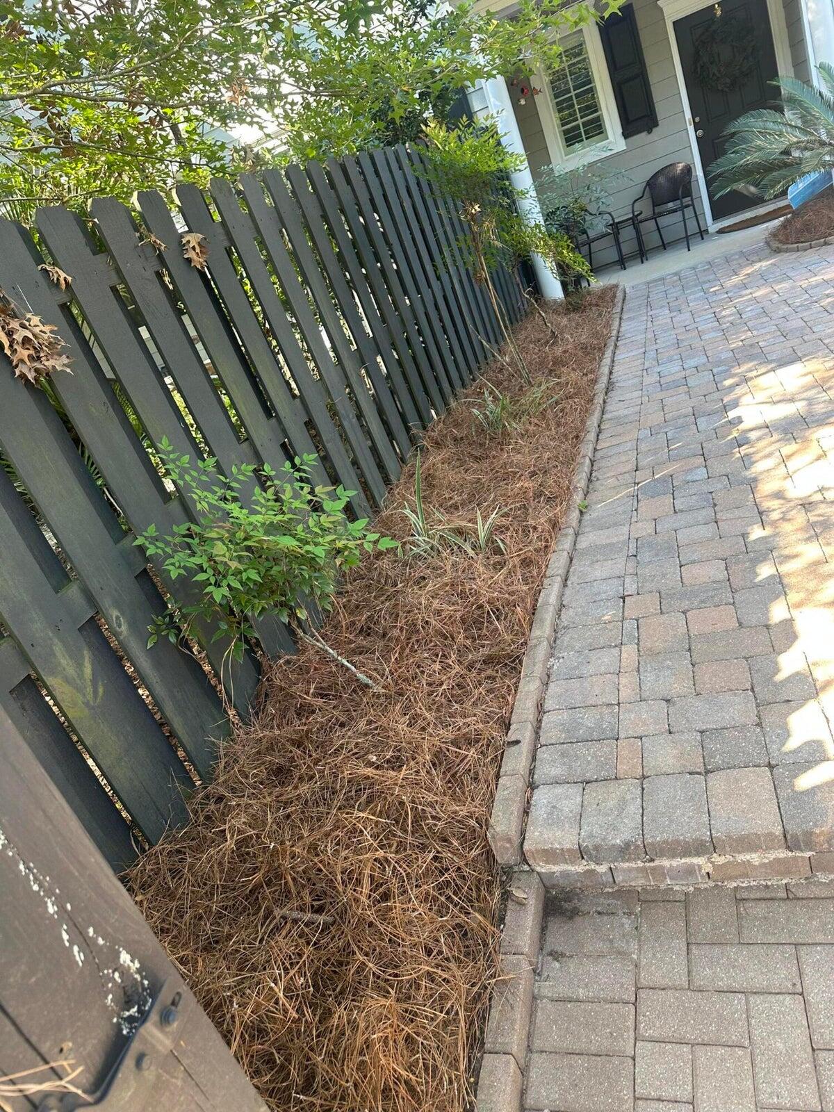 3089 Park W Boulevard Mount Pleasant, SC 29466 - Photo 39 of 54 20250909190924868672000000-o