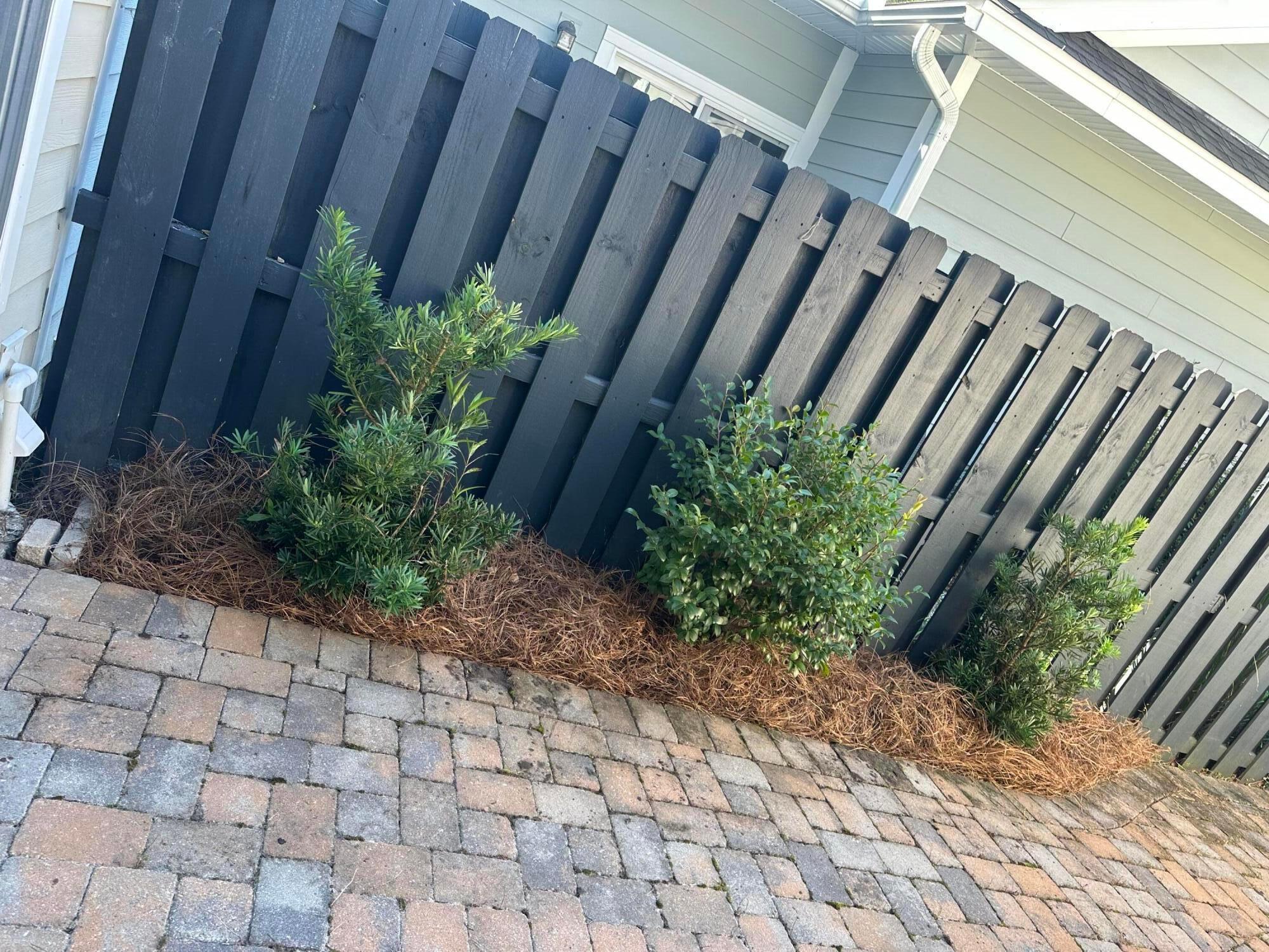 3089 Park W Boulevard Mount Pleasant, SC 29466 - Photo 41 of 54 20250909190948098449000000-o