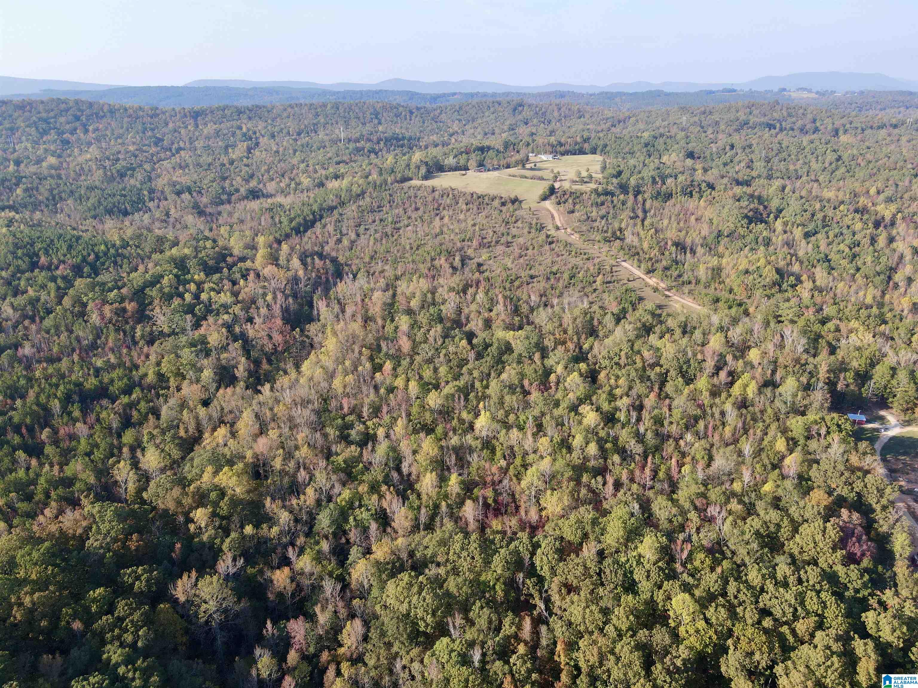 0 Peach Orchard Road Ashland, AL 36251 - Photo 7 of 14
