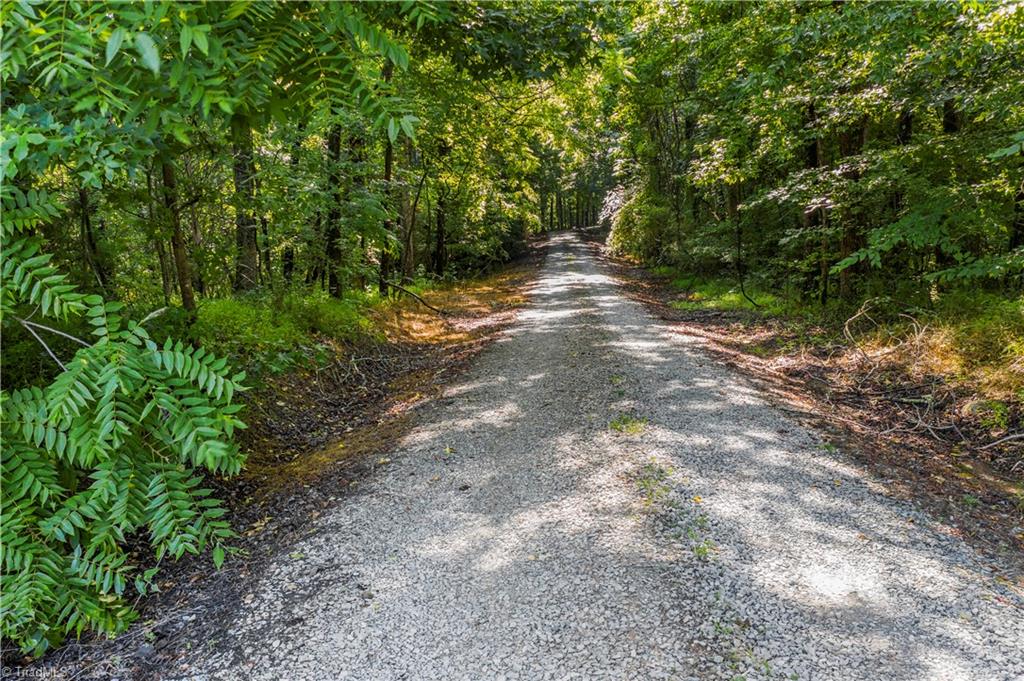 435 Noah Davis Road Roxboro, NC 27574 - Photo 8 of 30