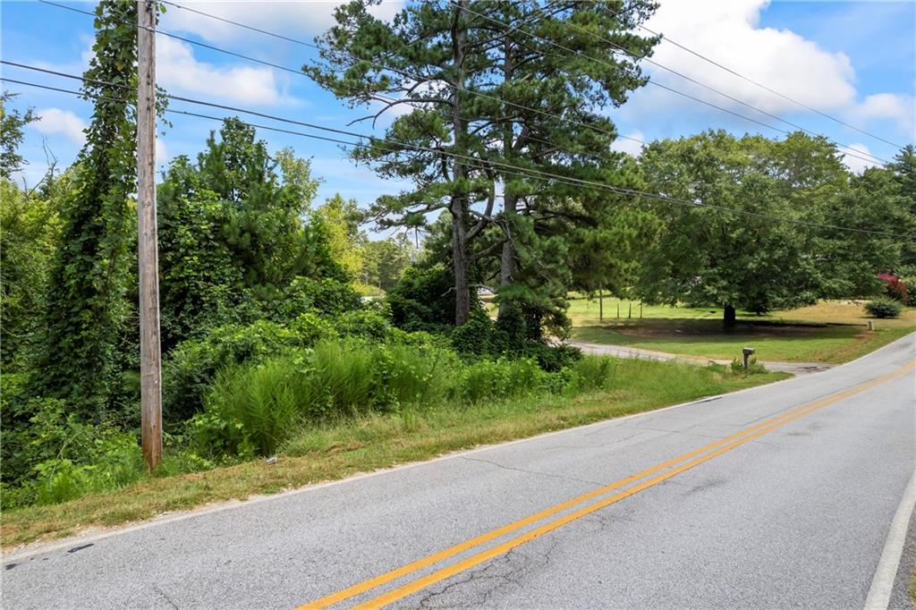 a view of a yard with potted plants