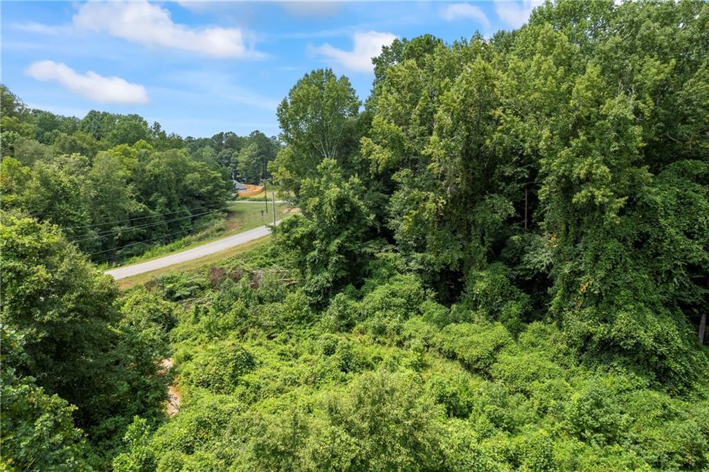 0 Ridgeway Street Commerce, GA 30529 - Photo 4 of 7 a view of a forest with a street